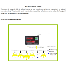 Automatischer Online-Vogelzähler